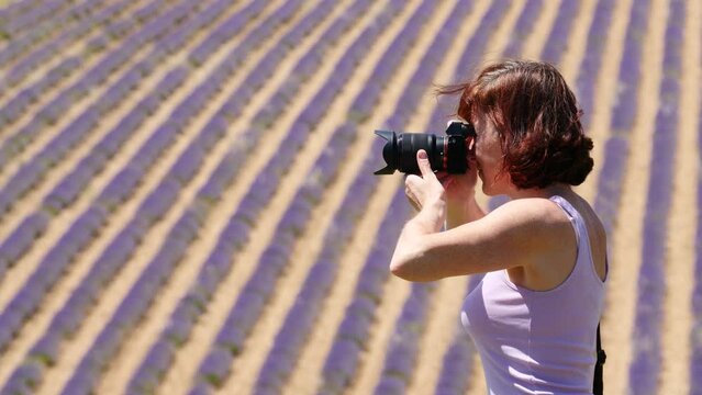 Mature tourist woman against blurred lavender field taking travel photo. Provence in France.