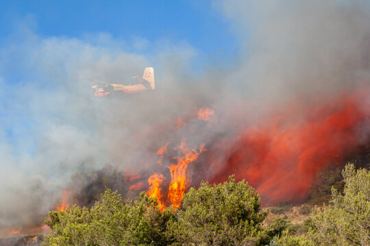 Avion "Tracker" effectuant un largage de produit retardant au dessus d'un incendie de for&ecirc;t