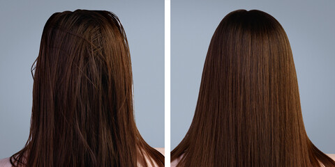 Hair care. Before and after washing hair on a gray background. Rear view. - obrazy, fototapety, plakaty