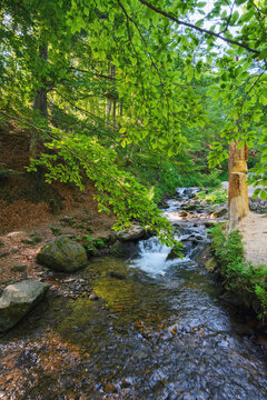 water stream in the woods. countryside nature landscape in summer
