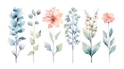Set of watercolor flowers and leaves. Hand drawn vector illustration.