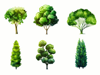 Set of hand drawn trees and bushes. Vector illustration in watercolor style.