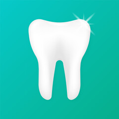 Dental model of a tooth. Concept of dental examination of teeth. Dental health and hygiene. Realistic tooth model. Vector Illustration.