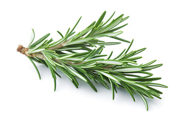 Ai generative. Rosemary twig and leaves on white