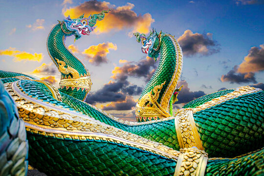 The background image of the serpent, an animal in Thai literature.