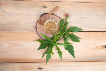 Abelmoschus manihot leaves in Indonesian it is called gedi leaf or pepaya jepang, the leaves resemble papaya leaves and have many health benefits and are often used as traditional herbal medicine