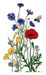 Summer meadow plants and insects. Colorful wildflowers, bumblebees and butterflies on a white background. Floral natural pattern vector flat illustration.
Formats Vector images