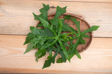 Abelmoschus manihot leaves in Indonesian it is called gedi leaf or pepaya jepang, the leaves resemble papaya leaves and have many health benefits and are often used as traditional herbal medicine