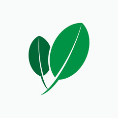 Eco Leaf Icon. Nature, Ecological Symbol