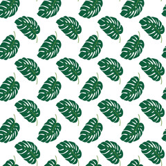 Summer tropical seamless Pattern. Monstera Green leaf. Endless pattern with Exotic plants. Leaves background