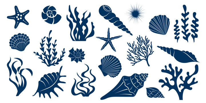 Big collection of underwater elements. Set of blue silhouettes  seashells, seaweeds. Summer marine background with hand drawn shell, algae, starfish, coral