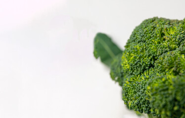 Green fresh broccoli on a light background. green background. Healthy food concept.banner