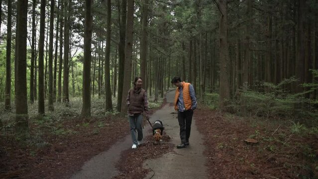 강아지와 자연휴양림을 산책하는 부부