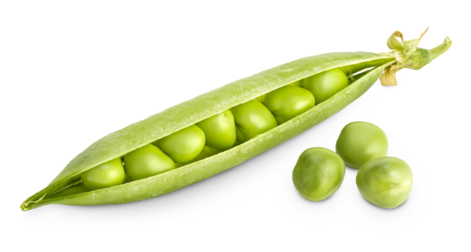 Fresh green pea open pod with seeds isolated