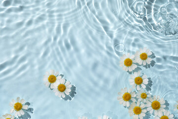 Chamomile flowers are floating, stains from a drop on the water