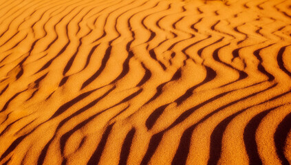 Background texture of desert sand