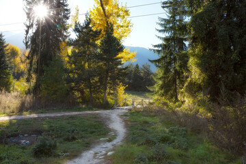 Autumn nature landscape with the with bridge over the stream and colorful trees, sunlight sun in Bansko ski road, Bulgaria