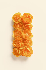 Yellow orange colored flowers Trollius or Globeflower on beige background, minimal flat lay vertical pattern, monochrome aesthetic botanical modern still life, natural blooming spring floret