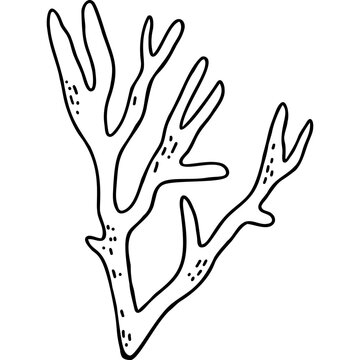 recommend clip art: Doodle Coral