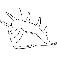 Doodle Seashell
