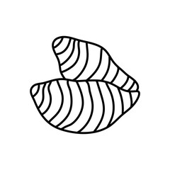 Taro doodle outline icon vector illustration. Hand drawn line sketch of Taro