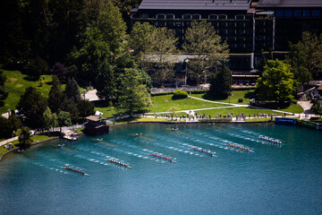 Fototapeta na wymiar Men's Eight rowing boats rowing on Lake Bled