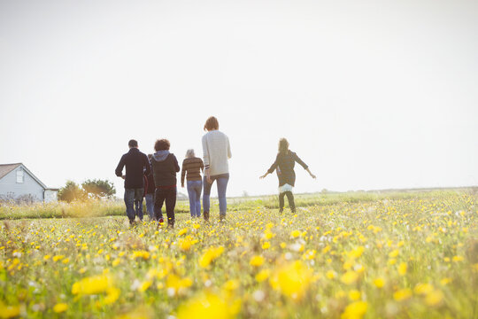 Multi-generation family walking in sunny meadow with wildflowers