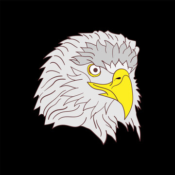 vector illustration of an eagle's head