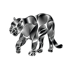 cheetah vector line art illustration