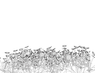 Set of differents flower linen on white background. Grass with herbs and wild flowers. Vector isolated contour of floral meadow. Black outline of grass, flowers and herbs isolated on white background.