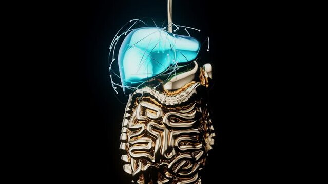 4K abstract view of the liver physiology