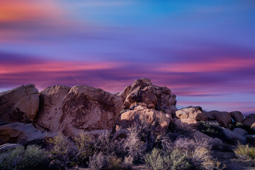 Obraz premium View from road trip with Joshua trees national park at sunset landscape around. California, USA