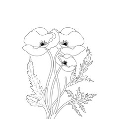 Corn Poppy Flower Line Art Coloring Page for Adults