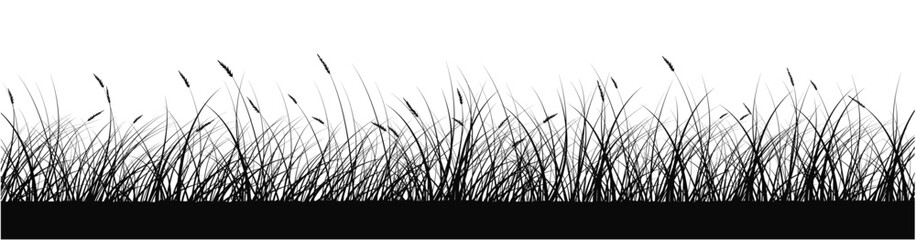 silhouettes of grass