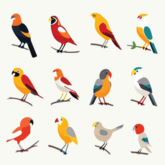 Parrots set vector illustration isolated