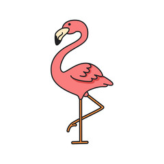 cute flamingo