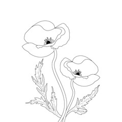 Floral Template With Black Line Art Poppy Flower Coloring Page