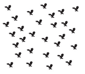 Obraz na płótnie Canvas background with birds