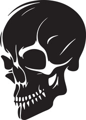 black and white skull vector illustration