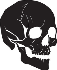 black and white skull vector illustration