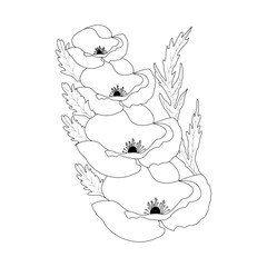 Corn Poppy Flower Line Art Coloring Page for Adults
