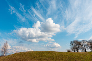 Tree, field, meadow and trees,blue cloudy sky.Idyllic dutch rural landscape with path in meadow during spring.