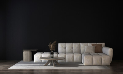 Modern cozy sofa and black wall in living room interior, modern design, mock up furniture decorative interior, 3d rendering