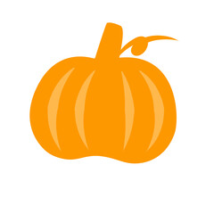 Pumpkin icon vector 