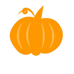 Pumpkin icon vector 