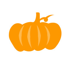 Pumpkin icon vector 