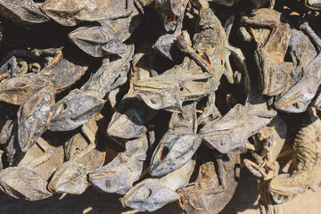 Dried Heads of the Different Animals for the Rituals on Akodessawa Fetish Market, Togo
