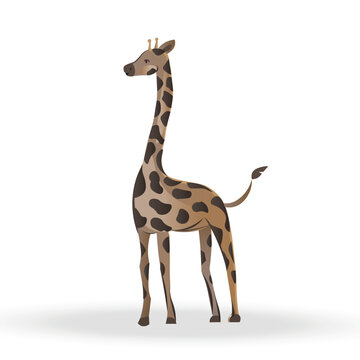 Vector giraffe isolated on white background. Tall Elegance in Vector: A Striking Giraffe Silhouette, Gracefully Adorning a White Canvas