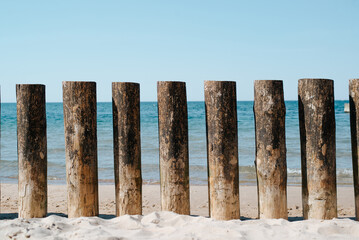 Wooden poles of breakwater on seashore on sunny summer day, close-up