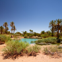 Fototapeta na wymiar an oasis in the desert with palm trees, bushes and flowers and a lake in the middle